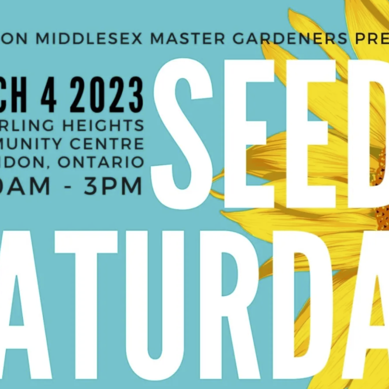 seedy-saturday-we-ll-be-there-carolinian-canada